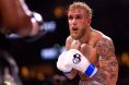 Jake Paul, UFC 317, MMA